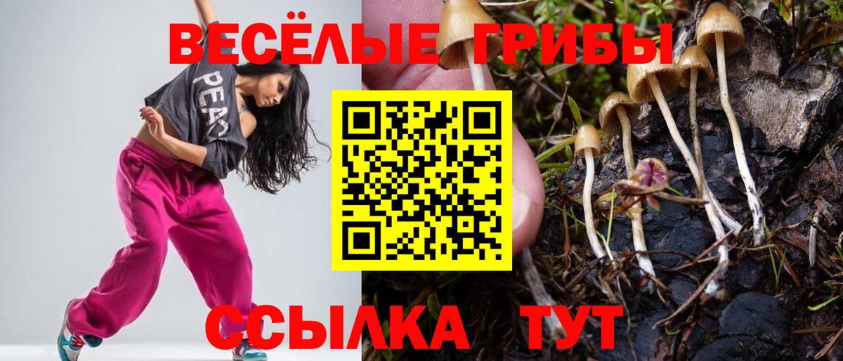 Калуга  Псилоцибиновые грибы GOLDEN TEACHER  Вход с VPN 