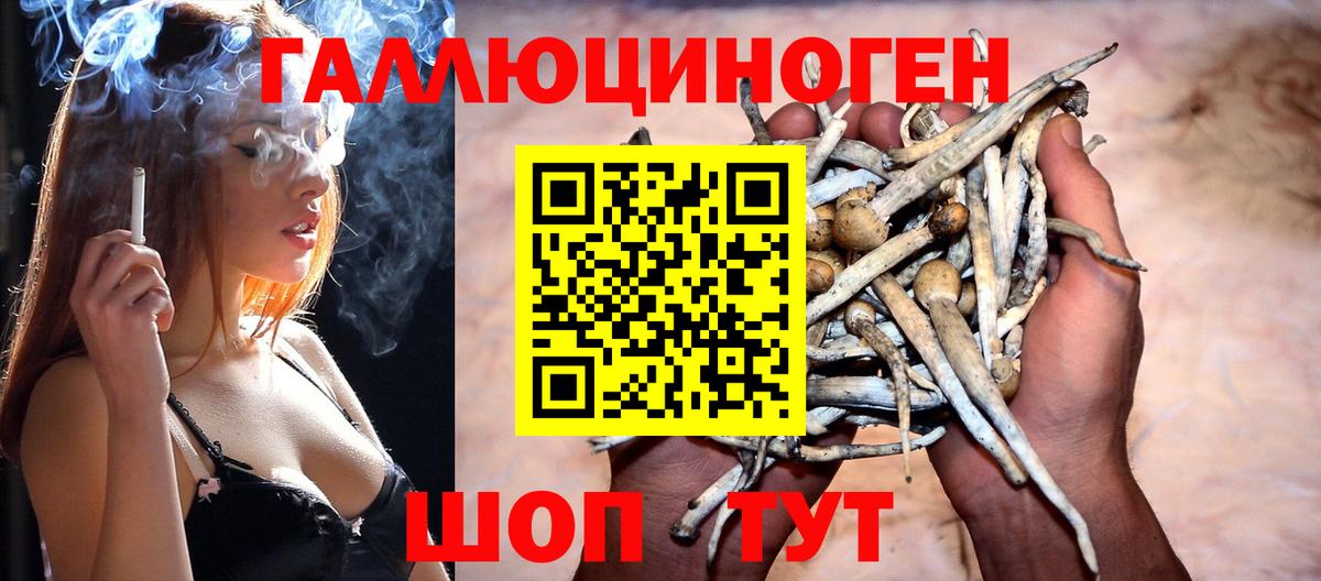 Галлюциногенные грибы мухоморы Калуга